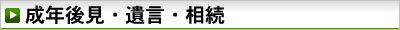 成年後見・遺言・相続